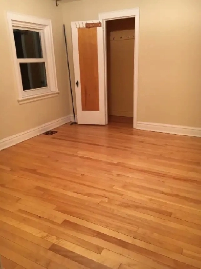 Large bedroom in Old Ottawa South/ Glebe for rent Image# 8