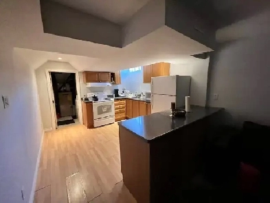 basement in richmond hill to rent Image# 2