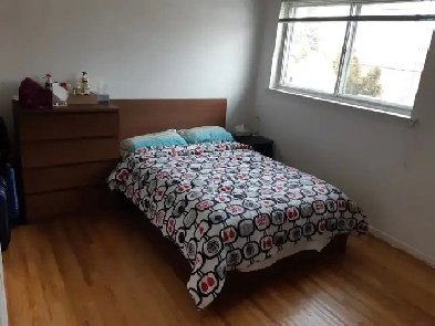 Private Furnished Room Rent Toronto Yonge Steeles Image# 3
