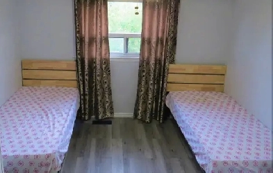 Furnished Room Main flr Females house Grt location Image# 8