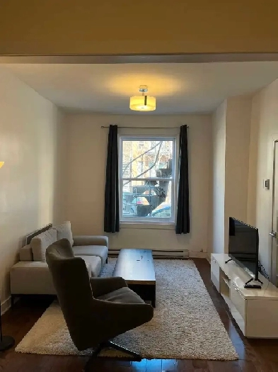 Colocation Plateau Mont Royal avec stationnement Image# 1