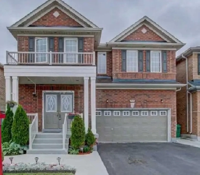 Legal Basement for Rent Image# 1