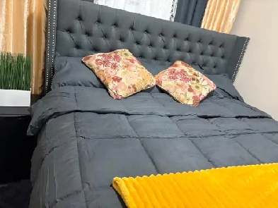 Luxury room for rent Image# 5