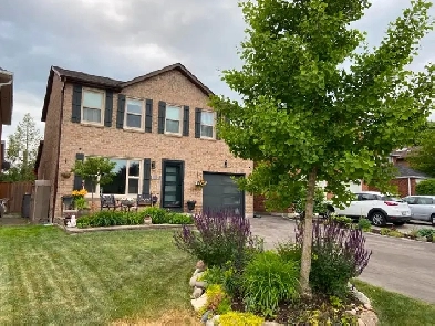 Basement Apartment Rental Image# 1