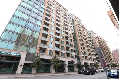 Furnished 1 Bedroom   Den Condo near uOttawa Image# 3