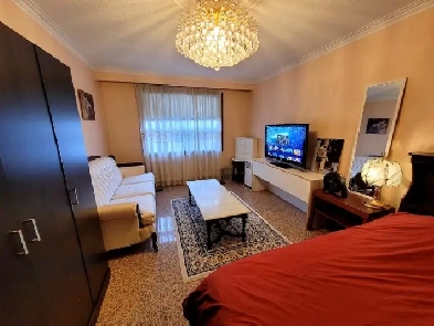 Avail Now! Large Peace Room near York U, Humber College, YYZ Image# 1