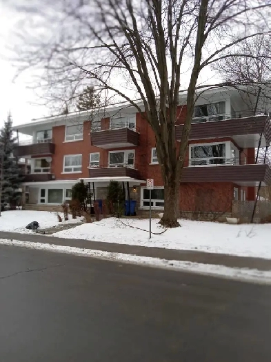 logement à louer Image# 2