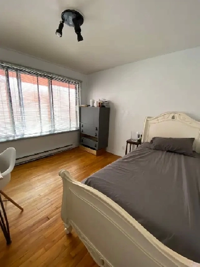 1 1/2 For Rent Image# 8