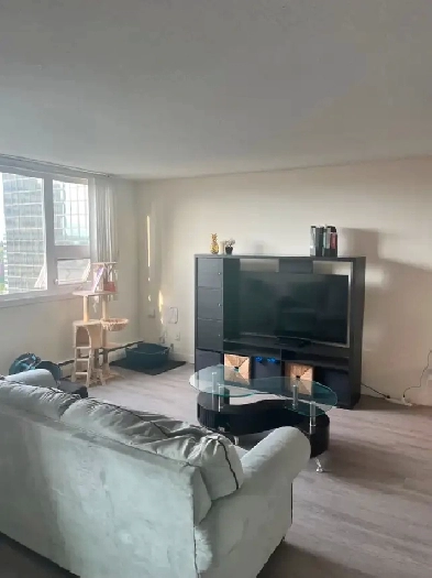 Room for rent in an two-bedroom apartment  $990   utilities Image# 8