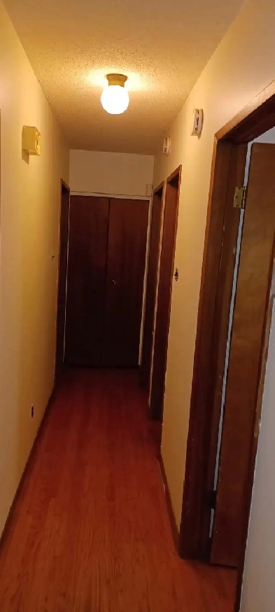 Room close to U of M Image# 4