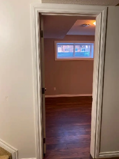 Entire basement in Whyte Ave area Image# 10
