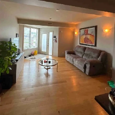 Two Bedroom Luxury Condo Image# 1