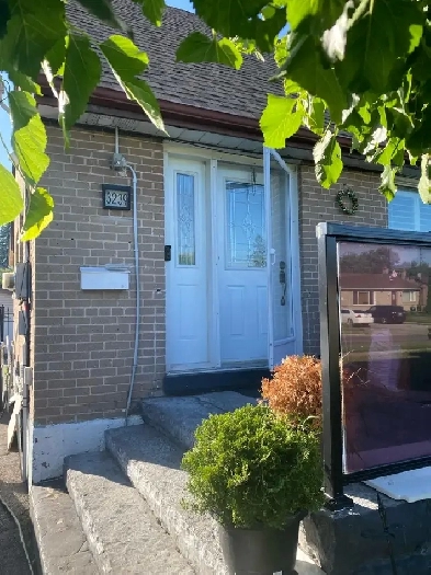 Private Room for Rent - Malton Mississauga Image# 5