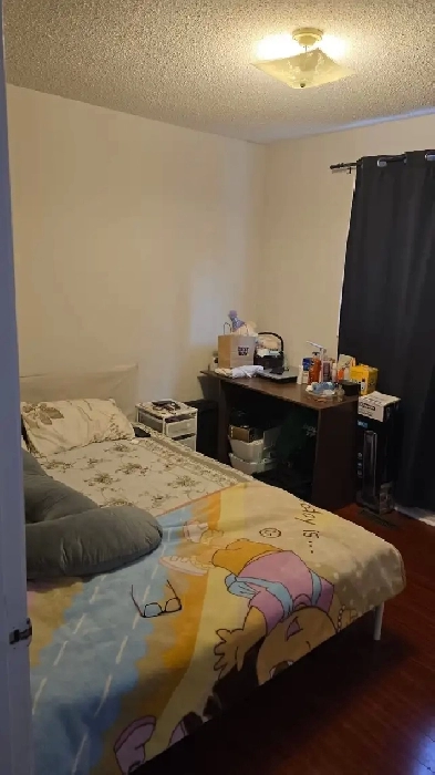 Private Room for Rent  - Female Image# 2