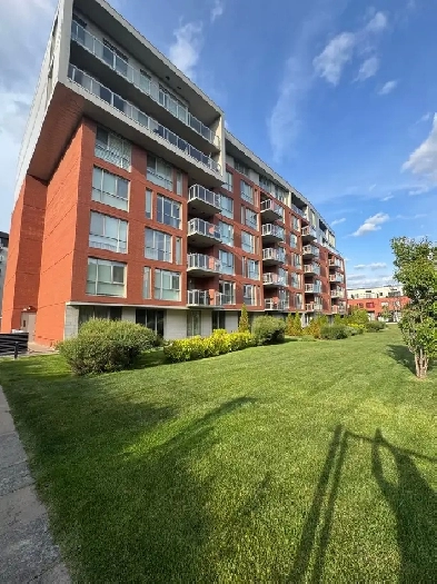 Modern Condo for Rent in TMR/Condo moderne à louer à VMR Image# 1