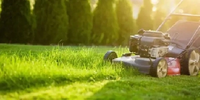 Grass Cutting Image# 1