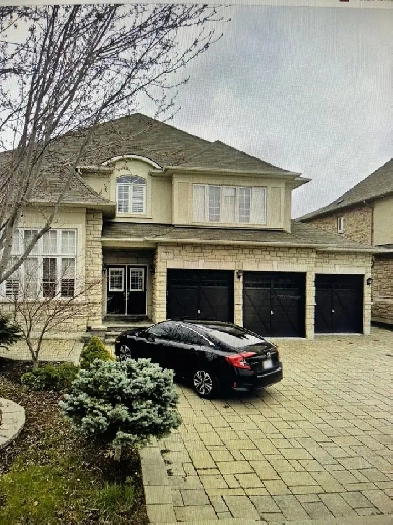 basement with two bedrooms, separate entrance separate laudnary Image# 4
