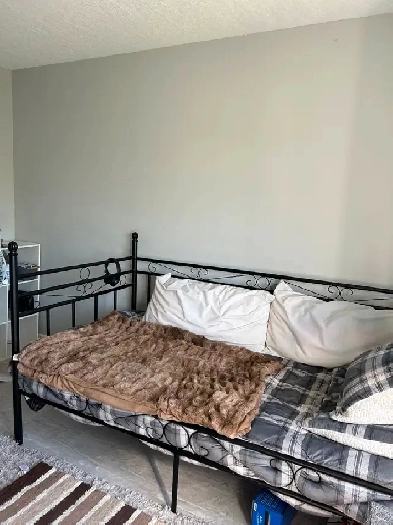 Room for Rent - Guelph, ON Image# 4