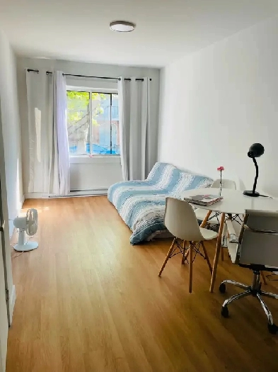 Studio apartment in Petite Patrie Montreal Image# 1