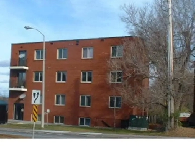 Sunny Large Quiet 2Bed 2nd floor unit Experimental Farm Image# 4