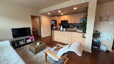 One-Bedroom Apartment Sublet Image# 5