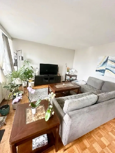 bright spacious one bedroom apartment  in North York Image# 9