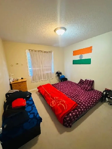 Private room for rent Image# 2