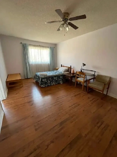 Room for rent Image# 3