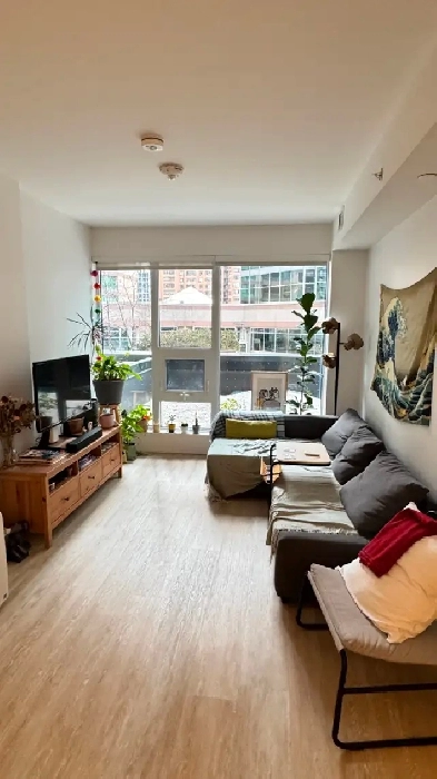 Private Room with Ensuite in Modern Downtown Toronto Condo Image# 8