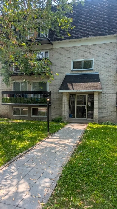 Apartments for Rent Image# 1