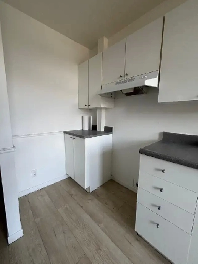 3 1/2 rosemont petite patrie proche masson Image# 1