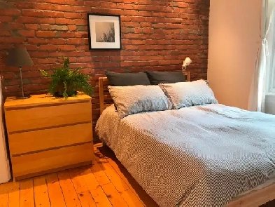 3 1/2 Petite Patrie Montréal Image# 1