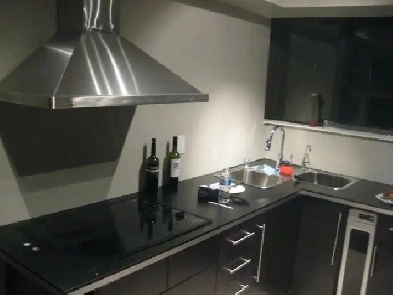 TMU Students! Way Better Than Student Housing Image# 1