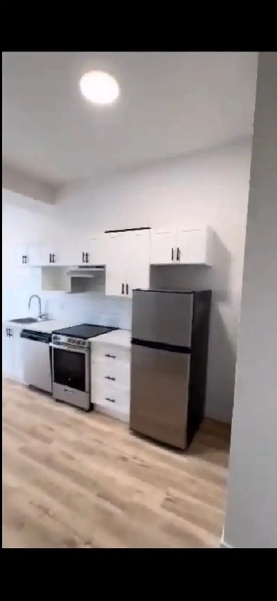 3 1/2 Hochelaga 1300$ PETS/ANIMAUX OK Image# 1