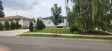 Beautiful Pleasantview, cozy 2 bedroom basement suite Image# 2