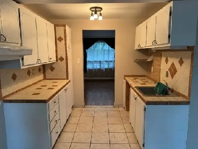 6 1 / 2 à louer maison Pointe -aux -Trembles Image# 1