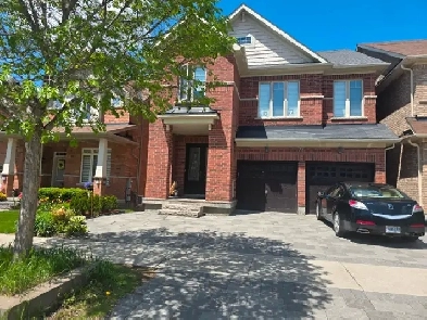 Studio Apartment in Richmond Hill Image# 1