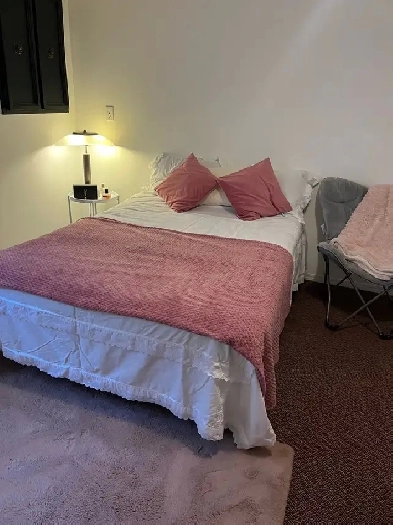 Basment apartment for rent in Scarborough Image# 1