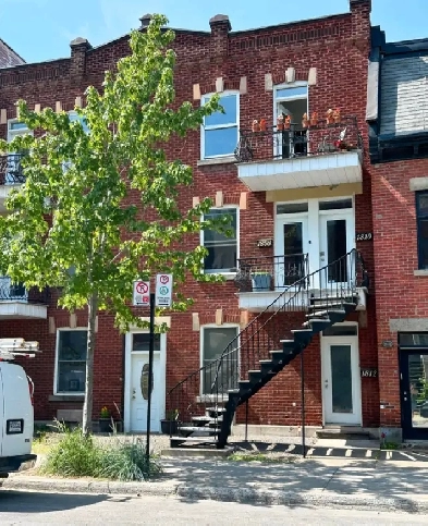 Appartement 4 1/2 à louer Berri-UQAM Image# 2