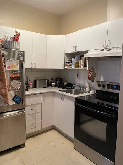 Appartement grand 3 et demi près du métro PIX IX Image# 2