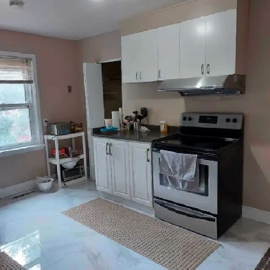 Bright upper floor room needs a girl roommate Image# 1