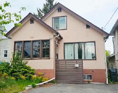 FOR SALE- 238 Wolseley St Image# 6