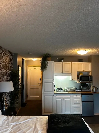 Pet-Friendly Studio DownTown Edmonton Image# 2