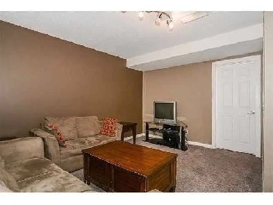 beautiful legal basement for rent in saddlebrook Image# 7