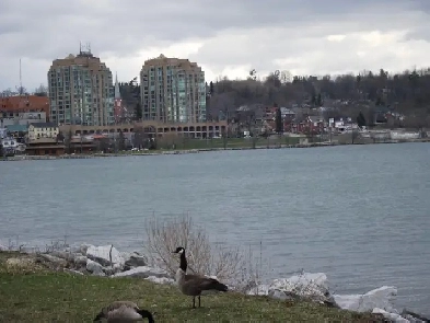 FABULOUS CONDO ON THE WATERFRONT Image# 1