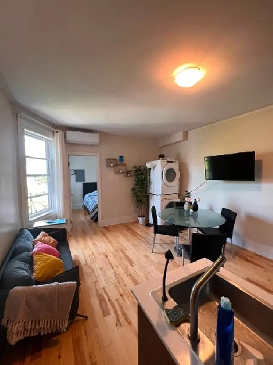 4 BEDROOM APARTMENT PLACE SAINT-HENRI Image# 3