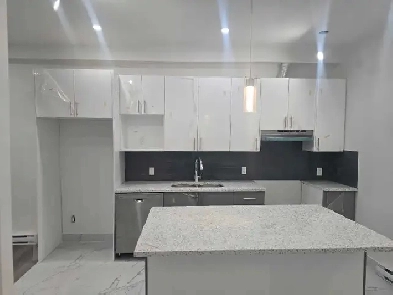 BEAU 5 1/2 COMPLÈTEMENT RÉNOVÉ SUR 2 ÉTAGES Image# 1