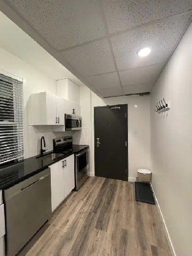 Fully Furnished 1 Bed in Sandy Hill Uottawa Image# 3