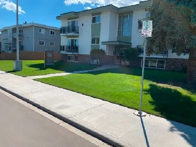 Bright, Clean & Quiet, renovated 1 bedroom apartment Image# 2