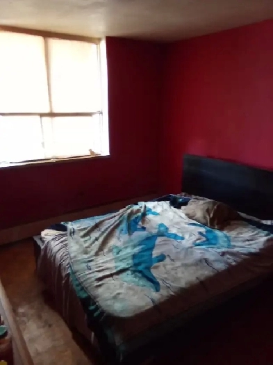 Room for rent in two bedroom apartment Image# 2